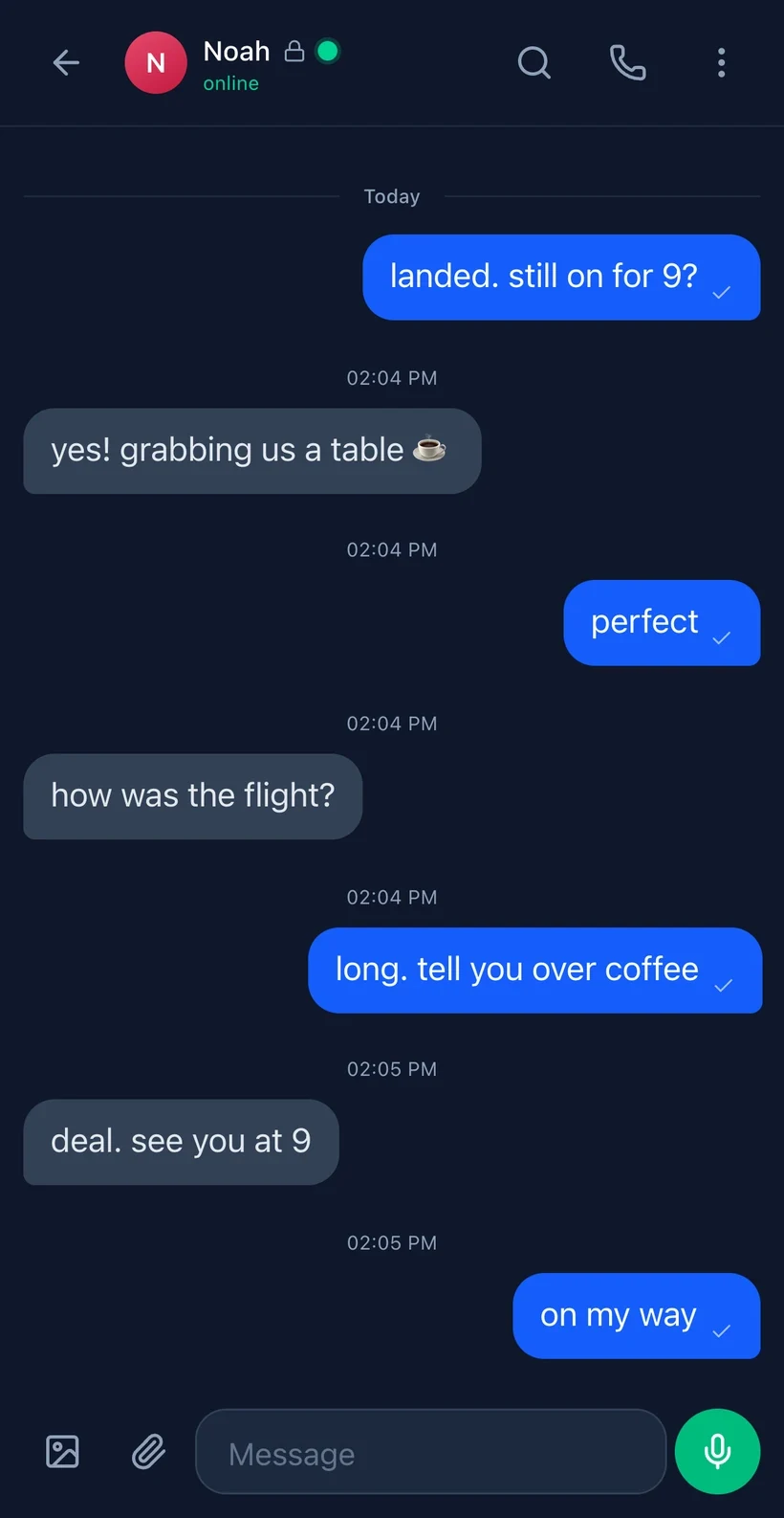 Veil conversation interface with a demonstration chat, call control and message composer.